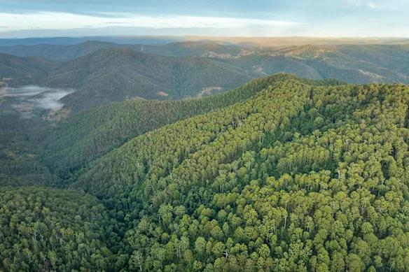 Un don de 10 millions de dollars a permis l'achat de six propriétés contiguës qui composent la région des Eaglehawk-Misty Mountains, désormais protégées par Great Southern Land Conservancy.