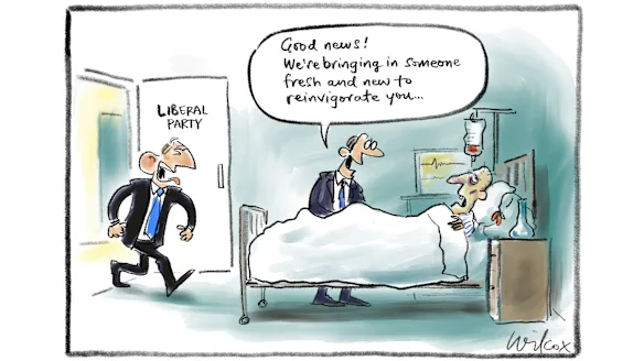 Illustration : Cathy Wilcox