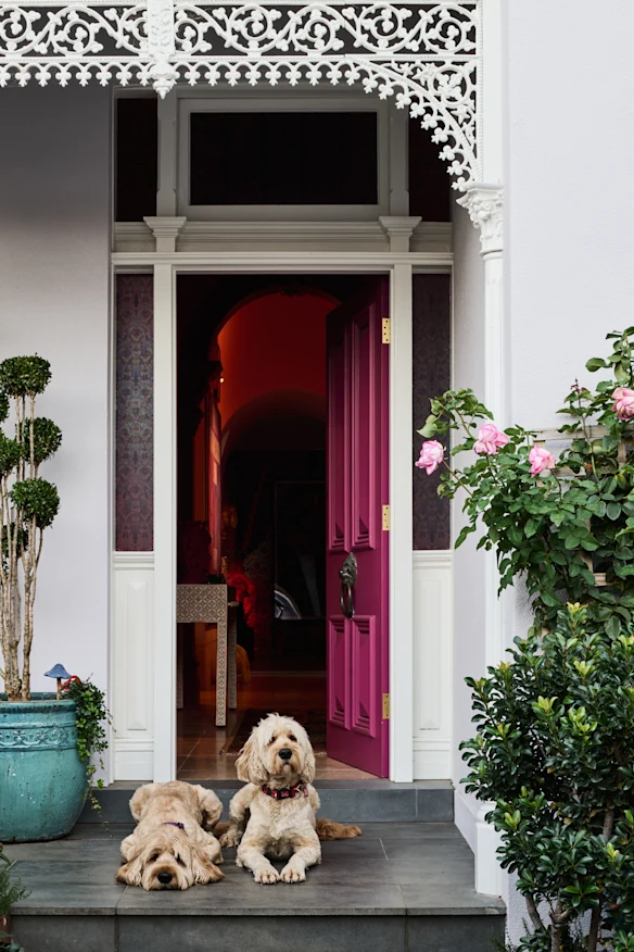 Ouvrez la porte d'entrée fuchsia de cette pittoresque maison victorienne de 1893 avec sa dentelle originale en fer forgé crème et vous serez secoué par une explosion de couleurs, d'art et d'expression créative.