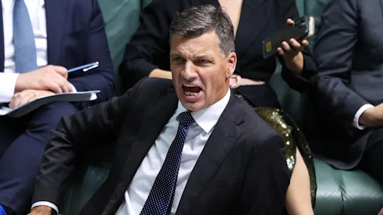 Le chef de l'opposition Angus Taylor réagit alors que le Premier ministre Anthony Albanese s'exprime lors de l'heure des questions au Parlement de Canberra.
