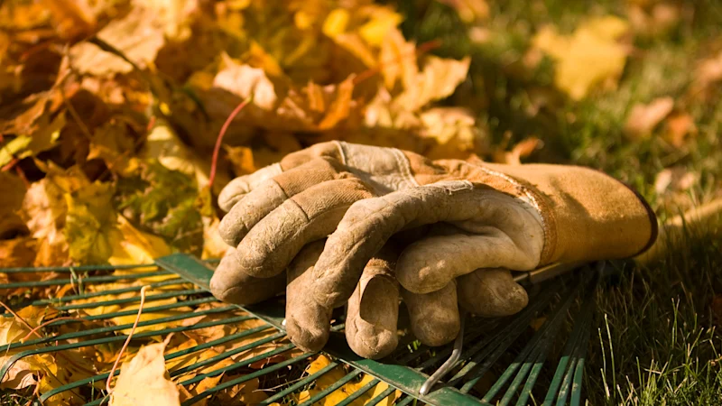 Six choses à faire dans votre jardin en ce moment