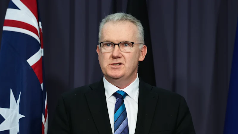 Burke utilise les pouvoirs de Bondi pour interdire un groupe haineux néo-nazi