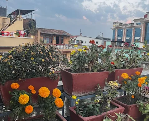 La vue depuis la maison de mon oncle à Katmandou.
