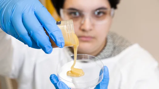 Un scientifique de Sydney s'est tourné vers son favori pour lutter contre la résistance aux antimicrobiens.
