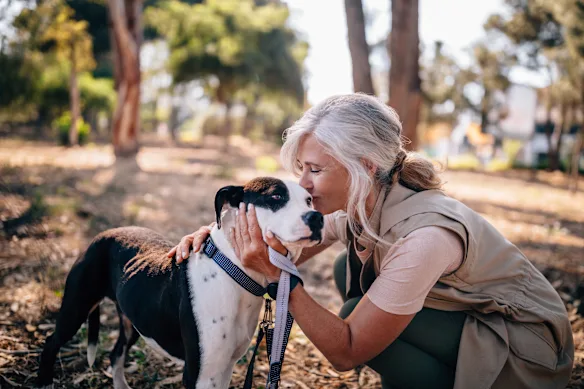 Oui, promener votre chien présente des avantages pour la santé – si vous le faites correctement.
