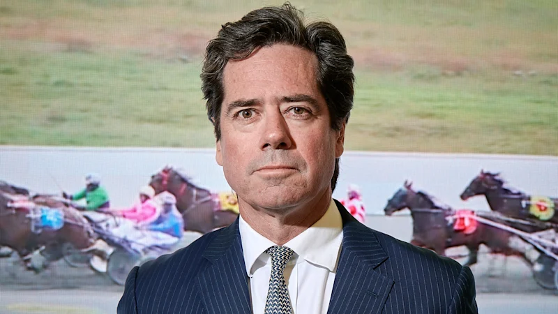 Le changement de règle proposé empêcherait les anciens PDG comme Gillon McLachlan de siéger au conseil d'administration pendant neuf ans