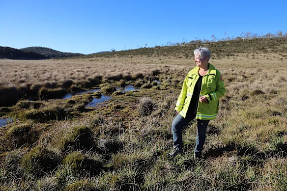 La ministre de l'Environnement de Nouvelle-Galles du Sud, Penny Sharpe, inspecte la reconstruction suite aux dommages causés par des chevaux sauvages dans le parc national de Kosciuszko en mai 2025.