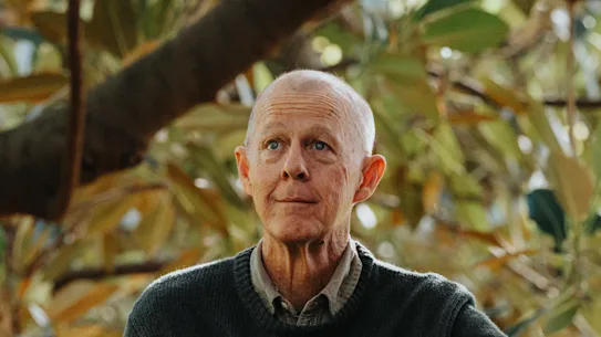 Dr Brett Summerell, botaniste en chef du Royal Botanic Garden, dans la canopée d'une figue menacée.