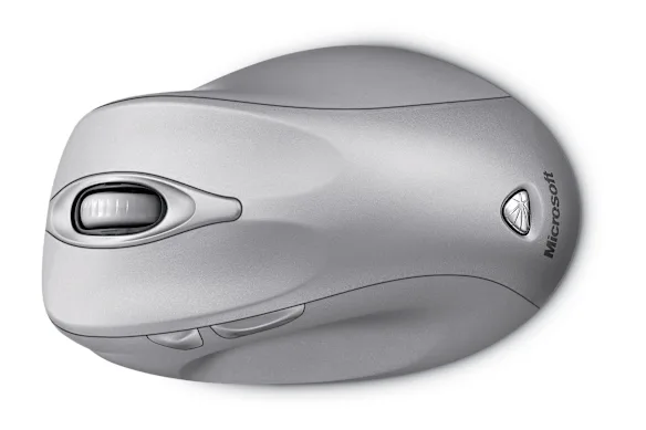 Une souris d'ordinateur ou autre chose ?