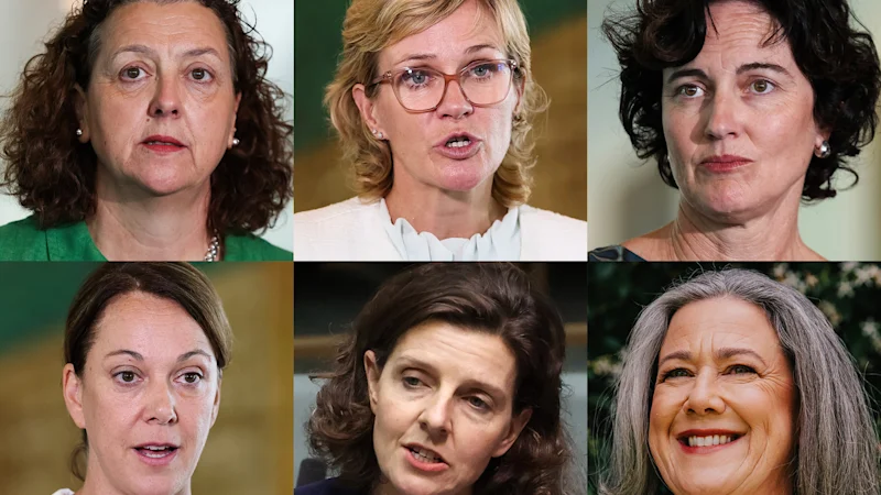 Les indépendants sarcelles Allegra Spender et Zali Steggall mènent la campagne pour former un nouveau parti politique centriste