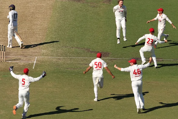 L'Australie du Sud a remporté les titres consécutifs du Sheffield Shield.