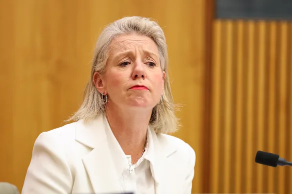 La sénatrice Bridget McKenzie au Parlement lundi.