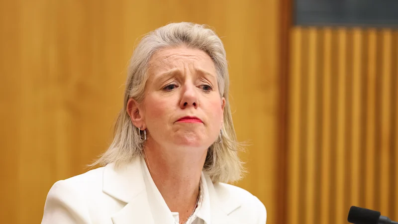 La sénatrice nationale Bridget McKenzie a également facturé aux contribuables la participation à la fête de fiançailles de son fils.