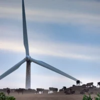 Les émissions de l&rsquo;Australie diminuent mais la chaleur augmente à Canberra