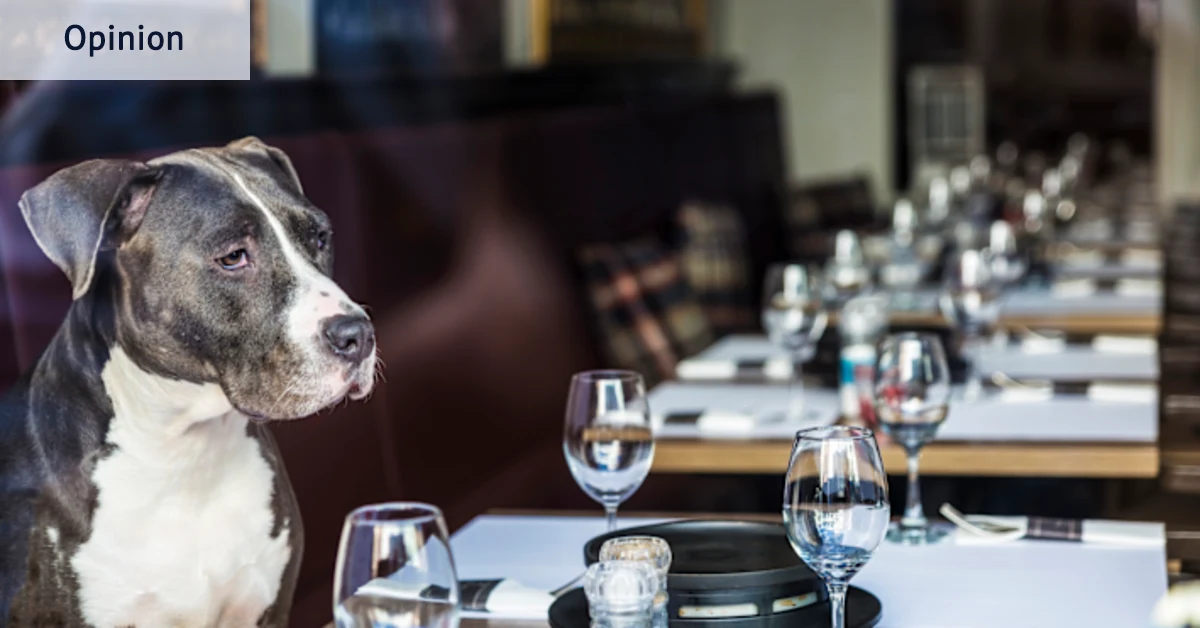 En matière de restauration, ce nouveau restaurant pour chiens a la bonne idée
