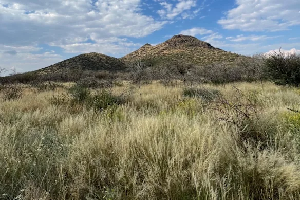 La carbonatite de Kameelburg d'Aldoro Resources est un complexe intrusif alcalin à grande échelle très prometteur situé dans le centre-nord de la Namibie, à 300 km au nord de Windhoek. Il s'élève jusqu'à 276 m au-dessus de la plaine environnante. 