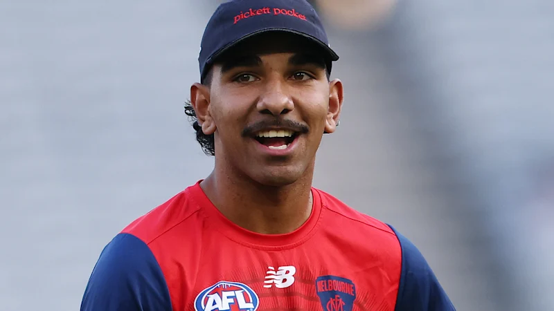 Équipes de la 11e journée de l'AFL : les démons reposent l'un des affrontements Picketts for Bulldogs