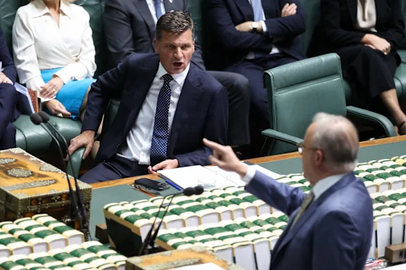 Angus Taylor et Anthony Albanese sont tous deux au nez. 