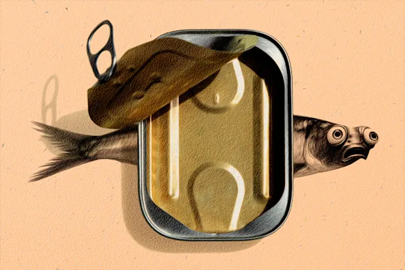 Sardines : de la nourriture du pauvre au merveilleux superaliment.