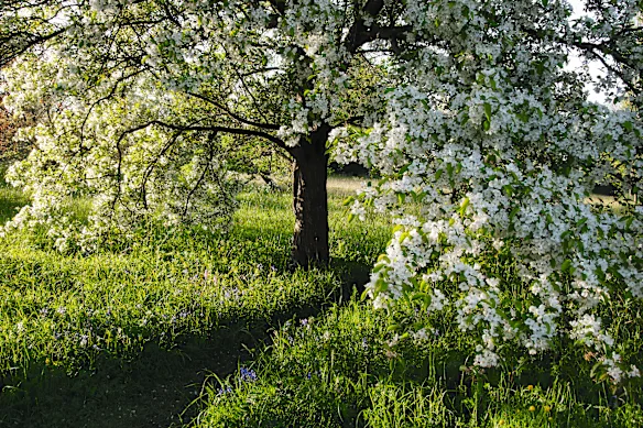 Great Dixter au Royaume-Uni est devenu un modèle pour la biodiversité des jardins.