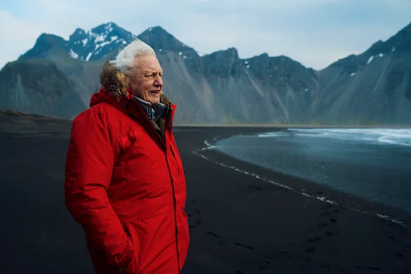 Sir David Attenborough est l'un des écologistes les plus appréciés de l'histoire. Il n’est pas étonnant qu’il reçoive des éloges à l’occasion de son centenaire.