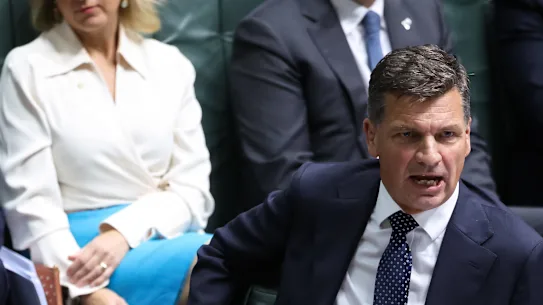 Le chef de l'opposition Angus Taylor pendant l'heure des questions.