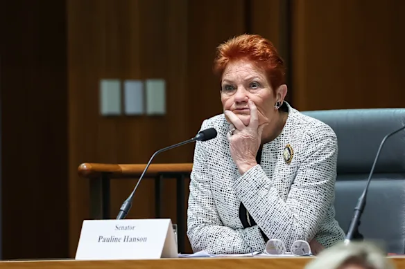 Pauline Hanson, photographiée mercredi lors des estimations du Sénat, a déclaré qu'elle était prête à devenir Premier ministre.