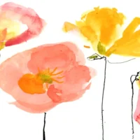 Pourquoi la course pour cultiver les meilleurs coquelicots islandais est une leçon d&rsquo;ego et d&rsquo;obsession