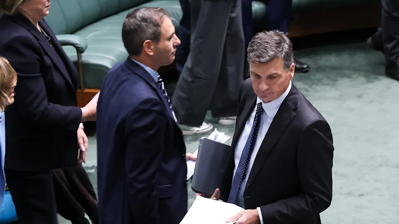 Le gouvernement albanais fait face à des retards au Sénat alors que la Coalition et les Verts demandent des enquêtes plus longues sur la taxe CGT et le NDIS
