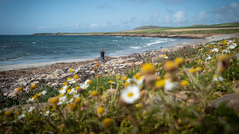 Critique de livre : La femme à la peau de phoque de Lauren Keegan