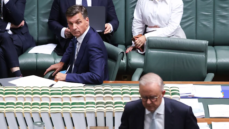 Malheurs des sondages d'Angus Taylor : le chef de l'opposition accuse le budget travailliste d'être responsable de la lutte de la coalition contre la montée en puissance de One Nation