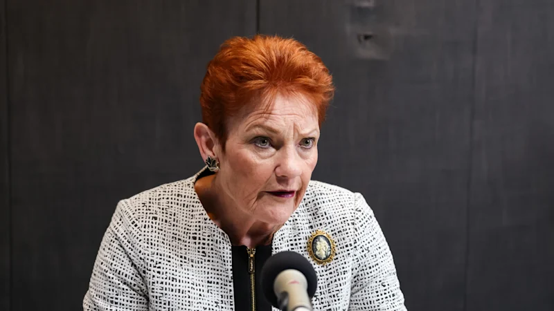 Plan de défense de Pauline Hanson : la proposition d'une nation de dépenser 5 pour cent du PIB pourrait coûter 400 milliards de dollars supplémentaires aux contribuables