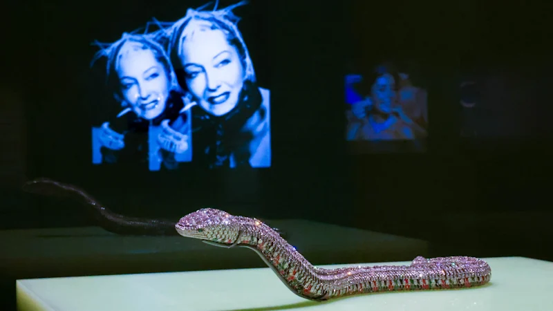 Bilan de l'exposition Cartier GNV : le nouveau blockbuster est riche en célébrité mais peu en perspicacité