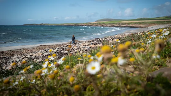 Les îles Orcades abritent bien sûr le mythe de la selkie.