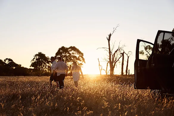 Warrawindi Escapes est un séjour à la ferme de luxe au cœur de Coonawarra, SA.