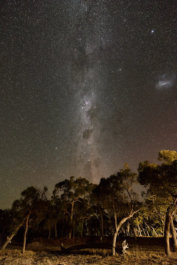La région de Coonawarra offre une observation des étoiles exceptionnelle. 