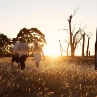 Warrawindi Farms : séjour à la ferme régénératrice et expérience d&rsquo;agrotourisme à Coonawarra