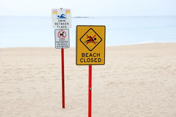 Coogee Beach a été fermée après la morsure du requin, mais a rouvert sous surveillance par drone.
