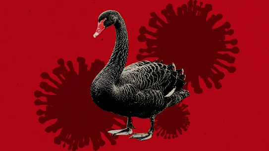 Il n'existe aucune preuve d'une épidémie mortelle de grippe aviaire H5, mais les experts estiment qu'il est probable qu'elle se propagera à un moment donné parmi la faune sauvage.