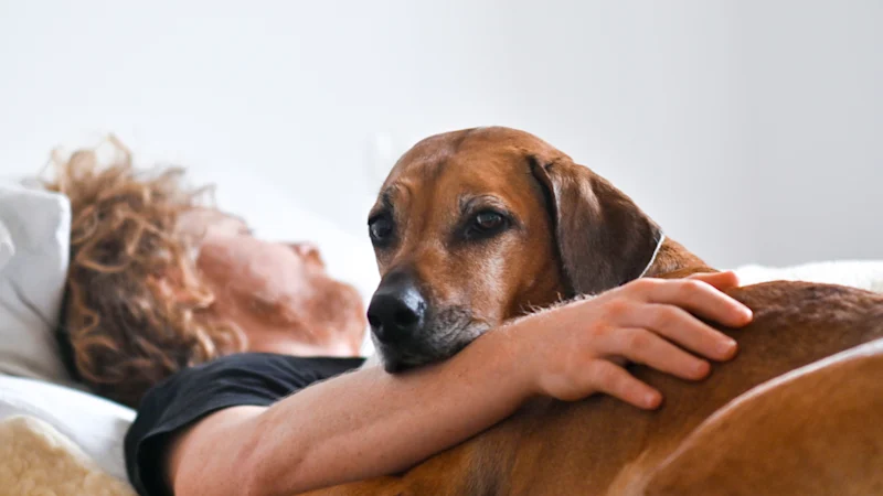 À quel point est-ce mauvais de dormir avec son animal de compagnie ? Les experts interviennent