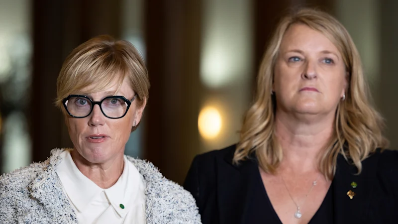 Community Strong Australia : un nouveau parti politique cherche à obtenir davantage de sarcelles dans l'accord