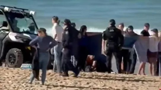 Une femme est soignée sur Coogee Beach après avoir été mordue par un requin.