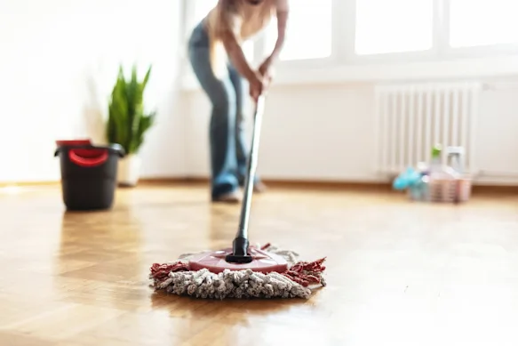 Gérez la poussière dans la maison avec un bon aspirateur et une vadrouille sur les sols durs.
