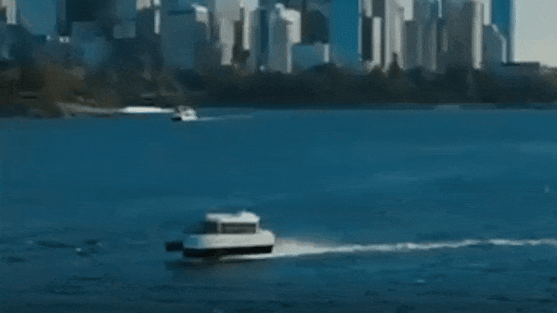 Hydroptères électriques du port de Sydney : nouvelle flotte pour réduire les émissions et dynamiser les transports publics