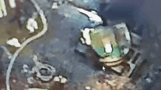 GIFs associés