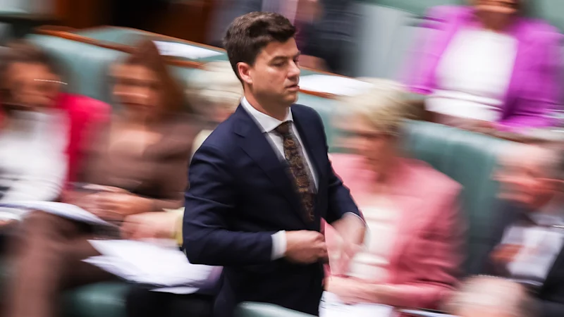 Les travaillistes modifient leur outil algorithmique d’évaluation des soins aux personnes âgées sous la pression du Sénat