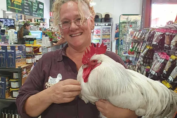 Julia Davies de JD Backyard Hens possède des milliers de poules à Medowie, près du cas suspect de grippe aviaire à Hawks Nest.