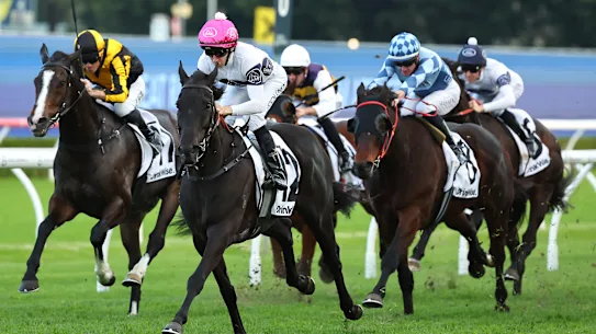 Midnight Dynamite, monté par Jason Collett, remporte les Civic Stakes à Randwick.