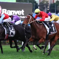 Moments glorieux : Greg Lee donne un coup de pouce au cheval pour la victoire des Winter Stakes et l&rsquo;inclinaison du Handicap d&rsquo;Epsom