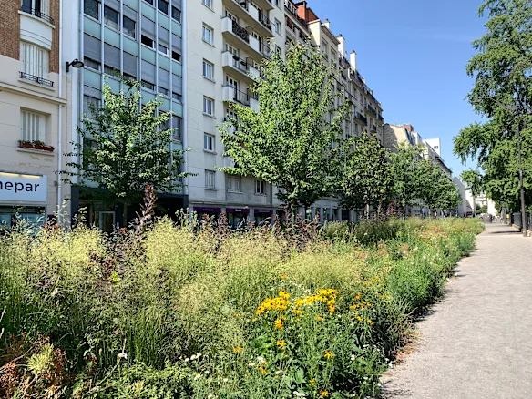 Une nouvelle plantation de rue dans le 20ème arrondissement.